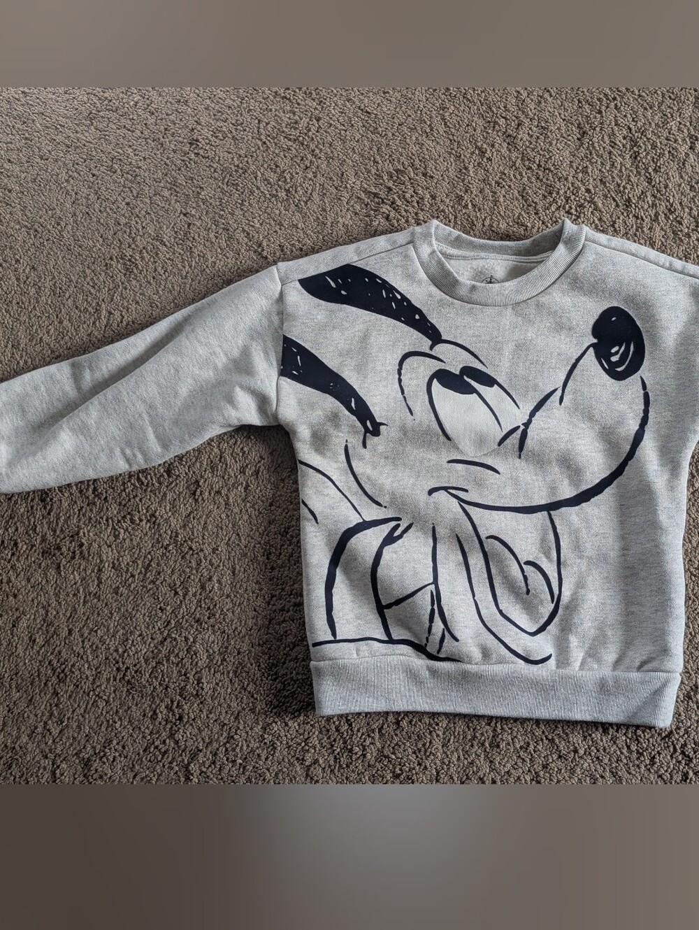 Kids Gray Pluto Graphic Crewneck Sweatshirt